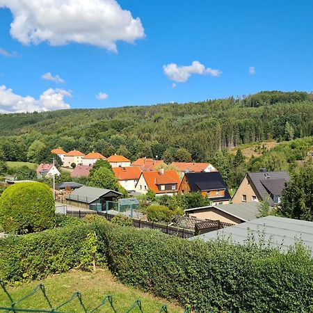 Ferienhaus Marx Sebnitz Esterno foto