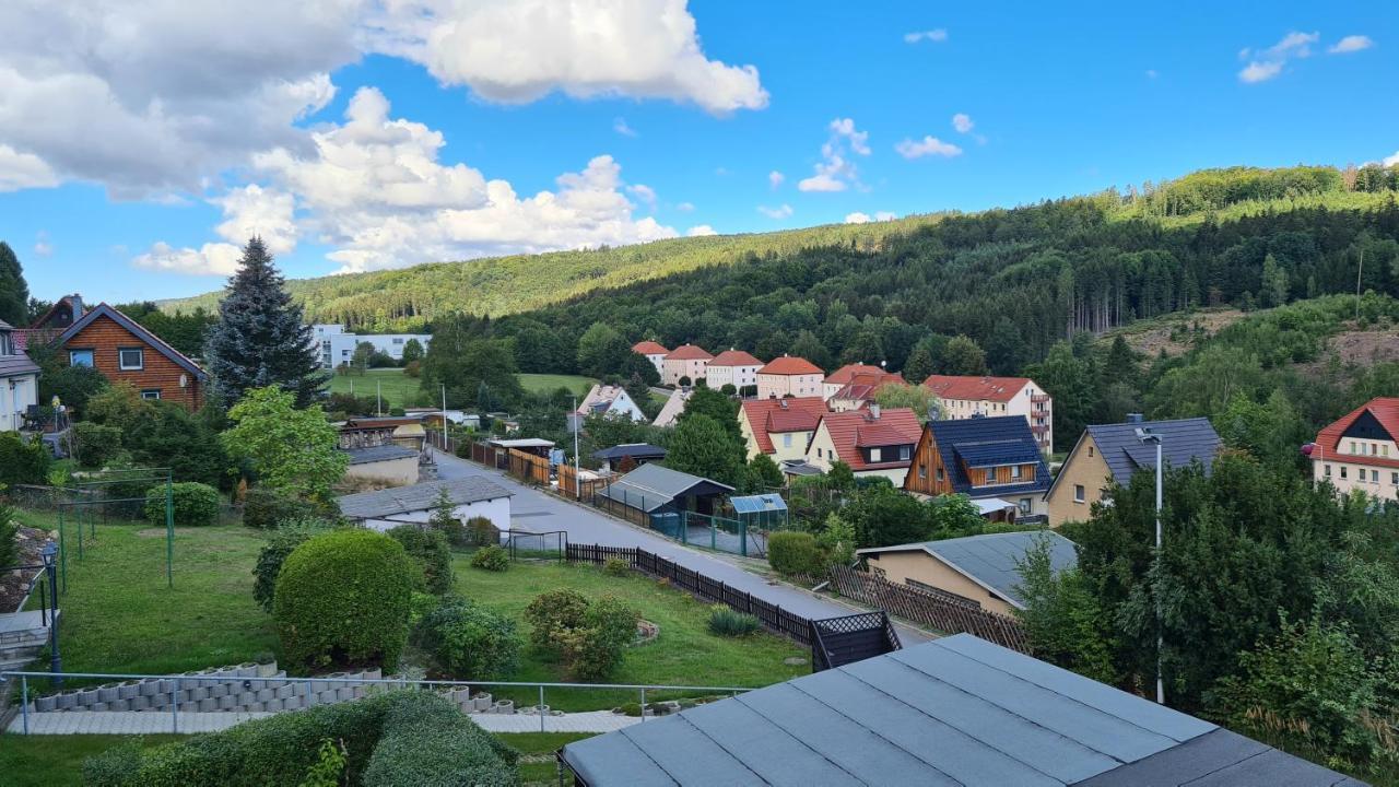 Ferienhaus Marx Sebnitz Esterno foto