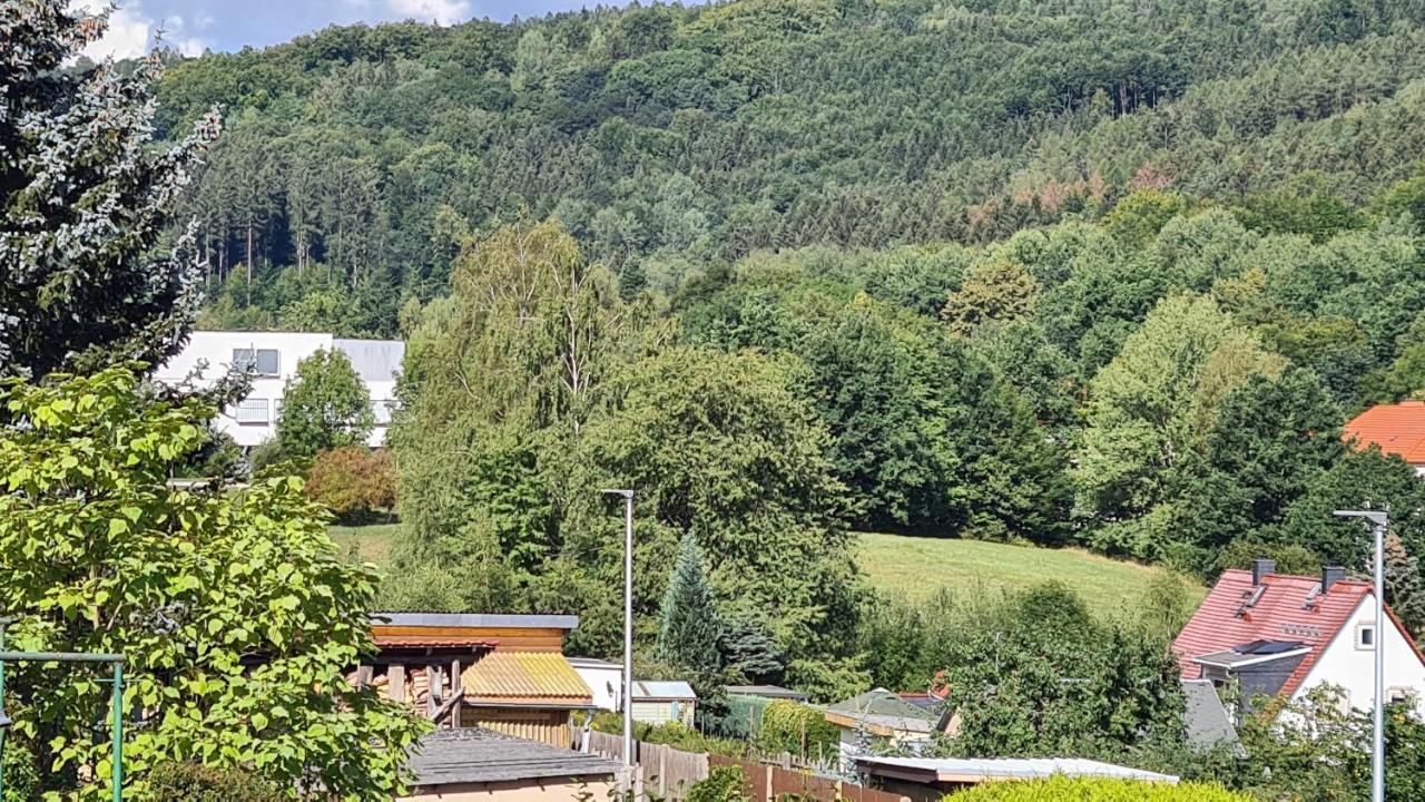 Ferienhaus Marx Sebnitz Esterno foto