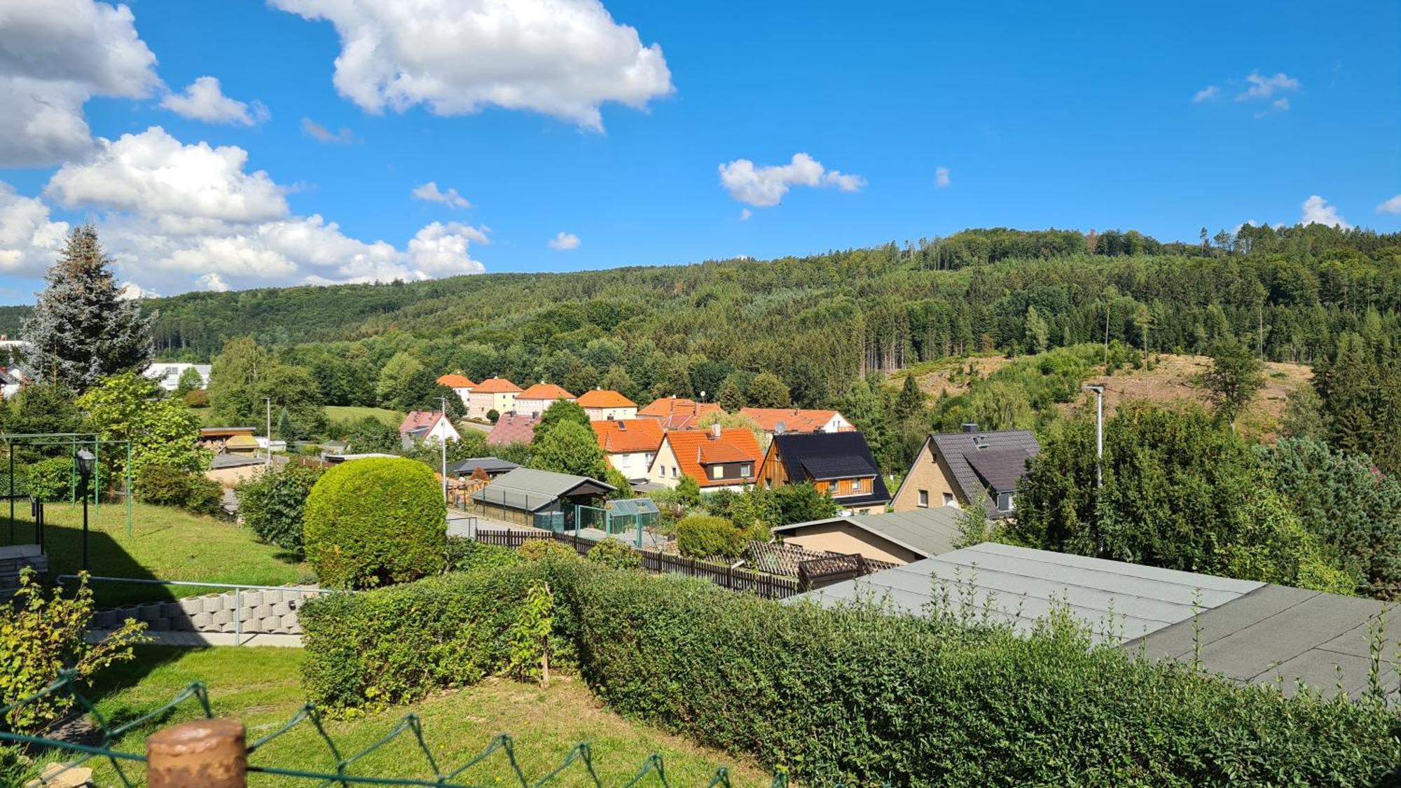 Ferienhaus Marx Sebnitz Esterno foto